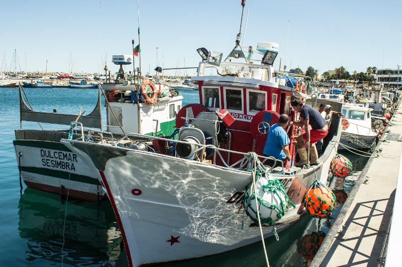 FIshing vessels in Portugal